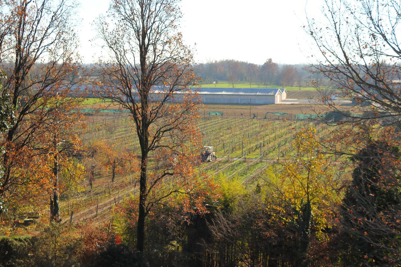 Le Magnolie Agriturismo Verolanuova Экстерьер фото